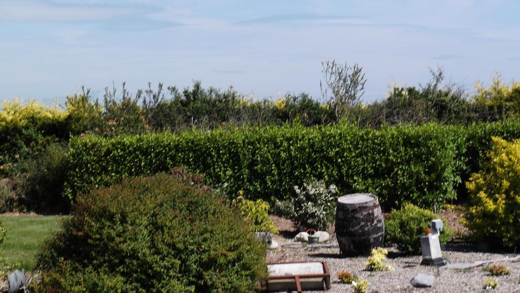 Ashley Lodge Bed & Breakfast Rosslare Harbour ภายนอก รูปภาพ